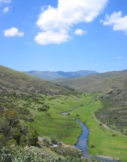 Sierra de Ayllón