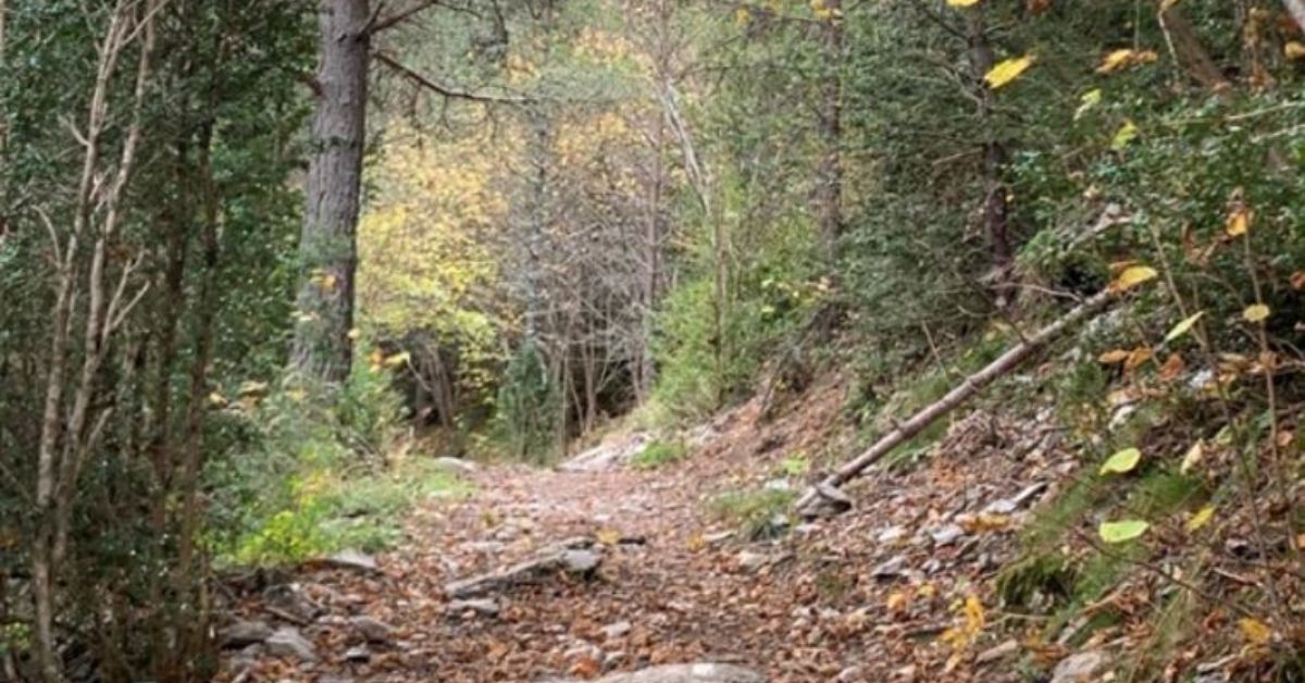 rutas de senderismo